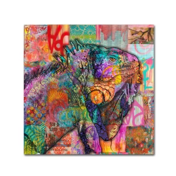 Dean Russo 'Iguana' Canvas Art, 35x35, Trademark Fine Art, Mfr#: ALI18412-C3535GG